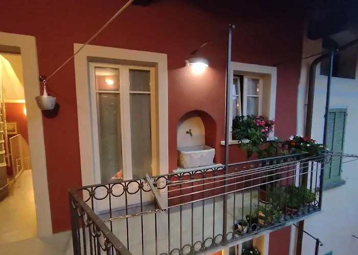 Le Rondini C 인트라