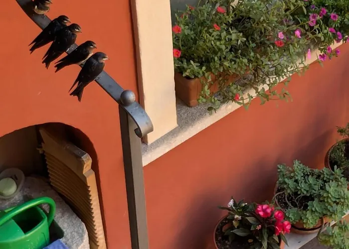 Le Rondini C Apartman Intra